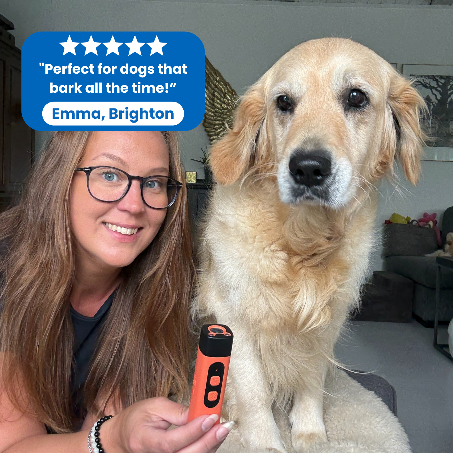 BarkStop - Your solution to unnecessary barking